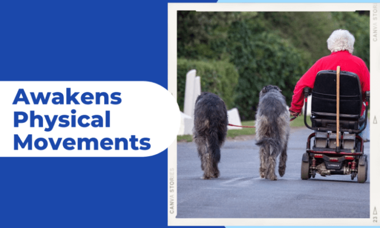 The Pros and Cons of Using a Mobility Scooter
